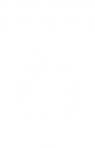 bureau-veritas-logo-white-1.png