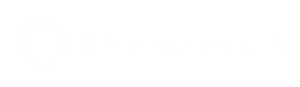 stagecoach-uk-bus-vector-logo-white